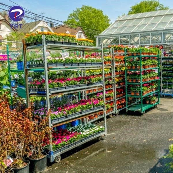 Dutch Trolley For Plant