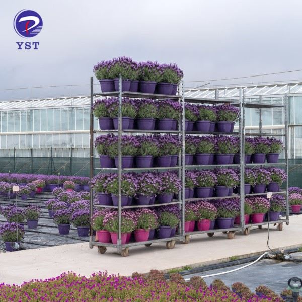 Metal Galvanized Flower Dutch Trolley