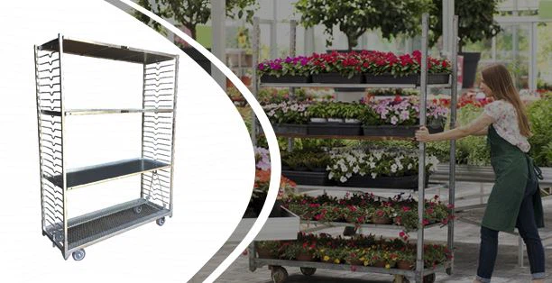 ग्रीनहाउस कार्ट