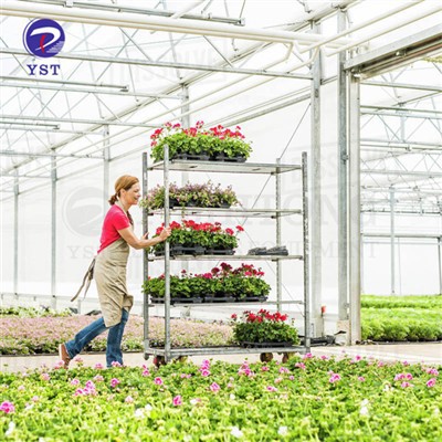 फूल परिवहन रैक