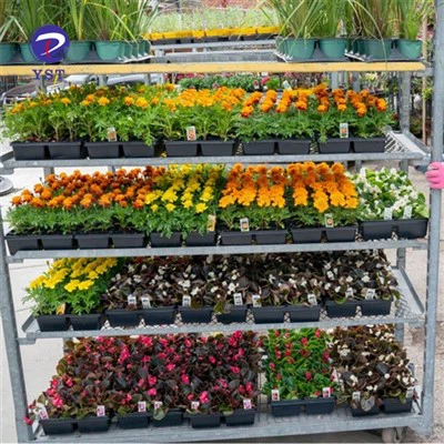 नर्सरी मेटल रैक