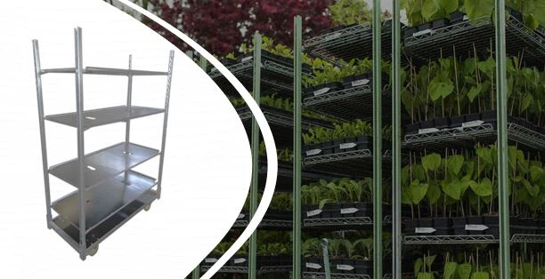 डेनिश ट्रॉली