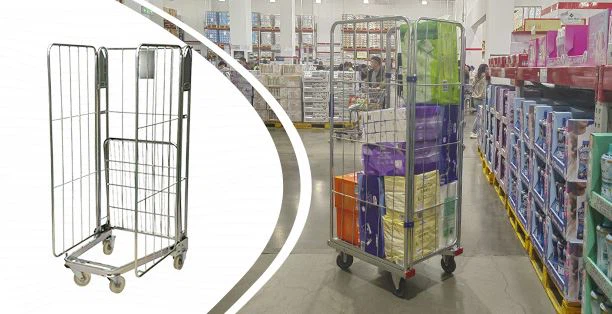 रोल पिंजरे