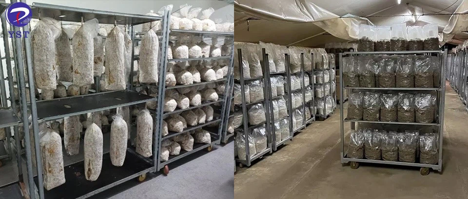 Danish Trolleys-3 Danish Trolleys-3