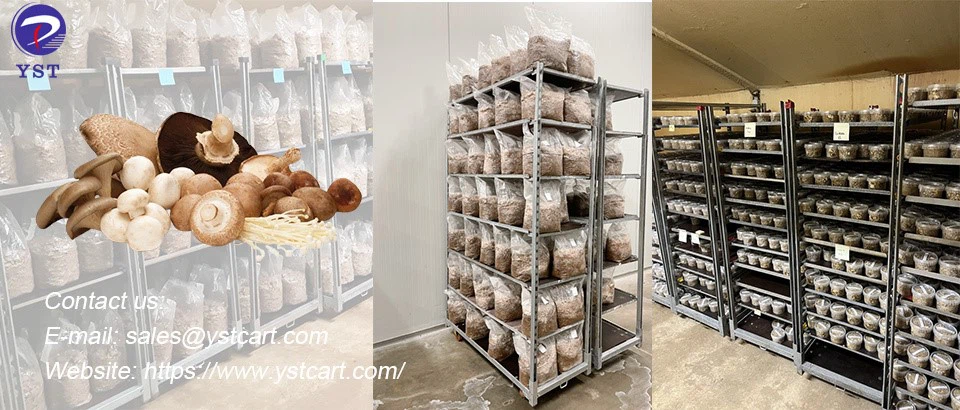 Danish trolley-3 Danish trolley-3